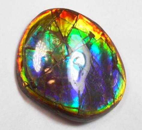 41 x 35 mm  Gorgeous Colors COLLECTOR STONE  CS-106 Ammolite コレクターストーン　アンモライト