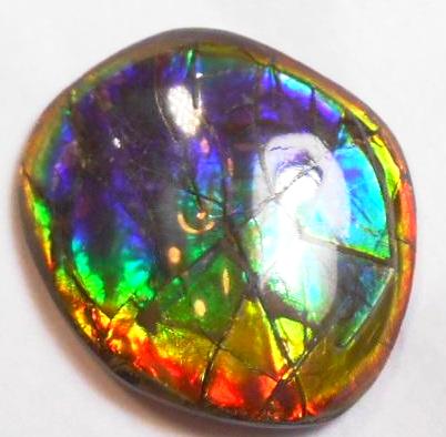 41 x 35 mm  Gorgeous Colors COLLECTOR STONE  CS-106 Ammolite コレクターストーン　アンモライト