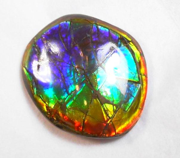 41 x 35 mm  Gorgeous Colors COLLECTOR STONE  CS-106 Ammolite コレクターストーン　アンモライト