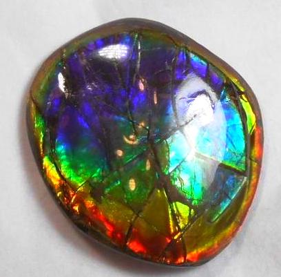 41 x 35 mm  Gorgeous Colors COLLECTOR STONE  CS-106 Ammolite コレクターストーン　アンモライト