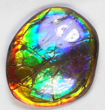 41 x 35 mm  Gorgeous Colors COLLECTOR STONE  CS-106 Ammolite コレクターストーン　アンモライト
