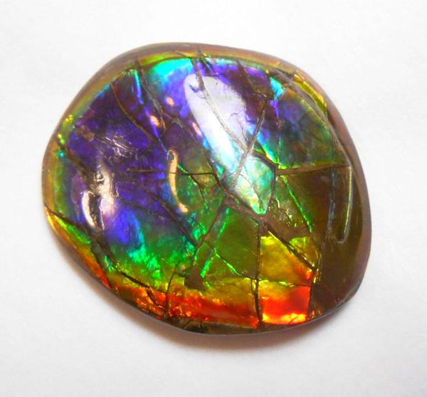41 x 35 mm  Gorgeous Colors COLLECTOR STONE  CS-106 Ammolite コレクターストーン　アンモライト