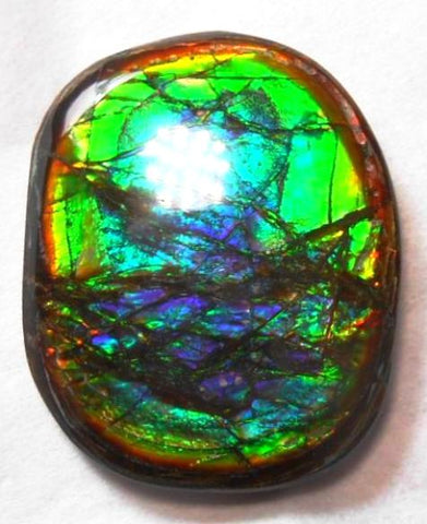 27 x 21 mm  Natural  Free Form . FFN 273  Ammolite   ナチュラル　ルース　アンモライト フリーフォーム