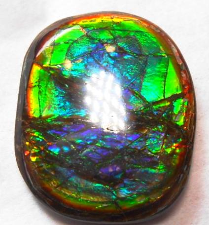 27 x 21 mm  Natural  Free Form . FFN 273  Ammolite   ナチュラル　ルース　アンモライト フリーフォーム