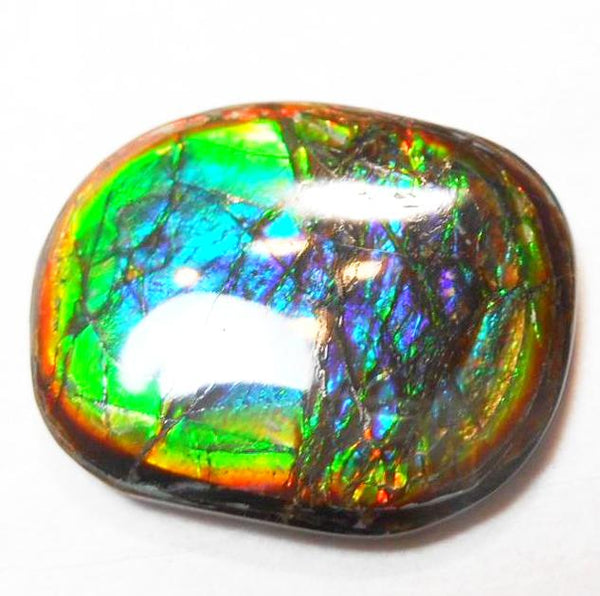27 x 21 mm  Natural  Free Form . FFN 273  Ammolite   ナチュラル　ルース　アンモライト フリーフォーム