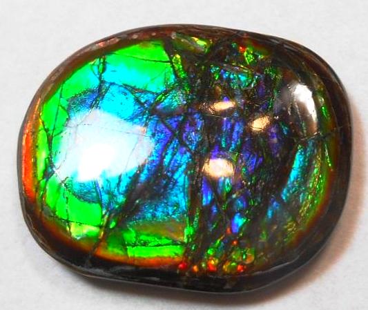27 x 21 mm  Natural  Free Form . FFN 273  Ammolite   ナチュラル　ルース　アンモライト フリーフォーム