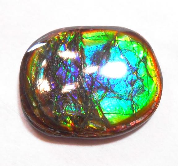 27 x 21 mm  Natural  Free Form . FFN 273  Ammolite   ナチュラル　ルース　アンモライト フリーフォーム