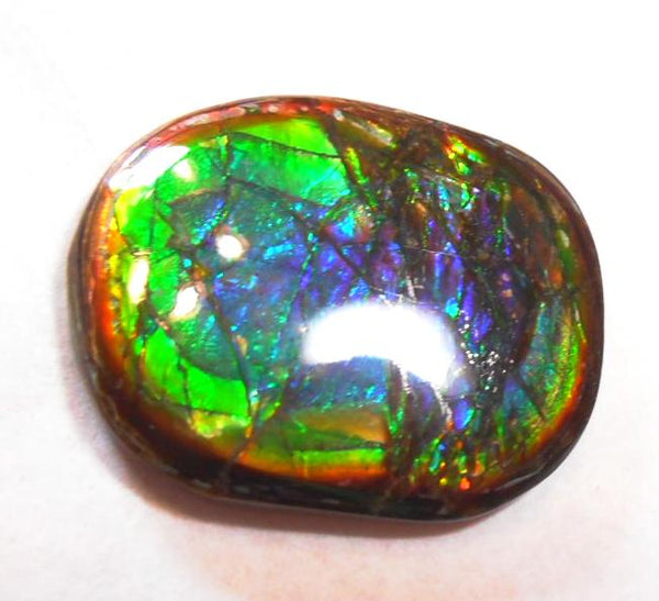 27 x 21 mm  Natural  Free Form . FFN 273  Ammolite   ナチュラル　ルース　アンモライト フリーフォーム