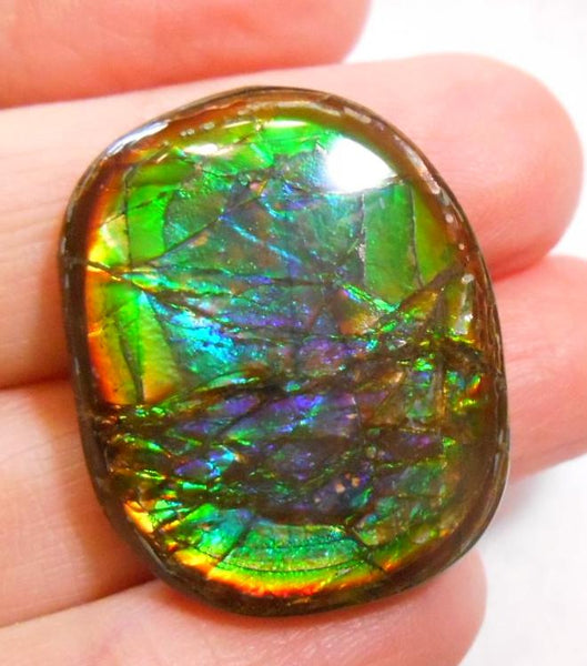 27 x 21 mm  Natural  Free Form . FFN 273  Ammolite   ナチュラル　ルース　アンモライト フリーフォーム