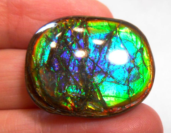 27 x 21 mm  Natural  Free Form . FFN 273  Ammolite   ナチュラル　ルース　アンモライト フリーフォーム