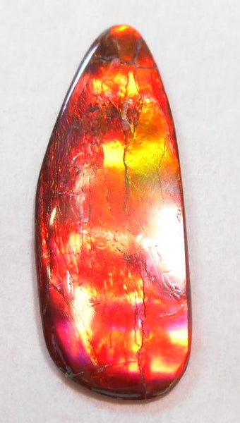 35 x 13 mm - IMP-52 Great Color Changer Natural Ammolite Double-Sided Imperial Bright!　両面　レア