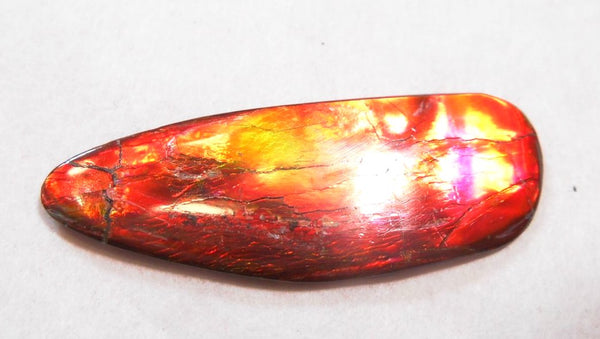 35 x 13 mm - IMP-52 Great Color Changer Natural Ammolite Double-Sided Imperial Bright!　両面　レア