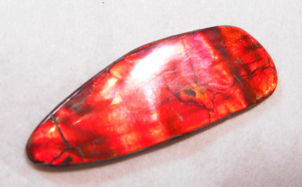 35 x 13 mm - IMP-52 Great Color Changer Natural Ammolite Double-Sided Imperial Bright!　両面　レア