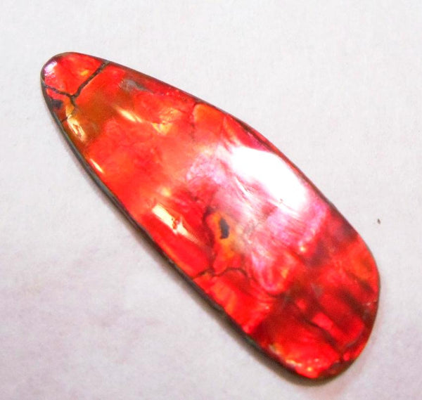 35 x 13 mm - IMP-52 Great Color Changer Natural Ammolite Double-Sided Imperial Bright!　両面　レア