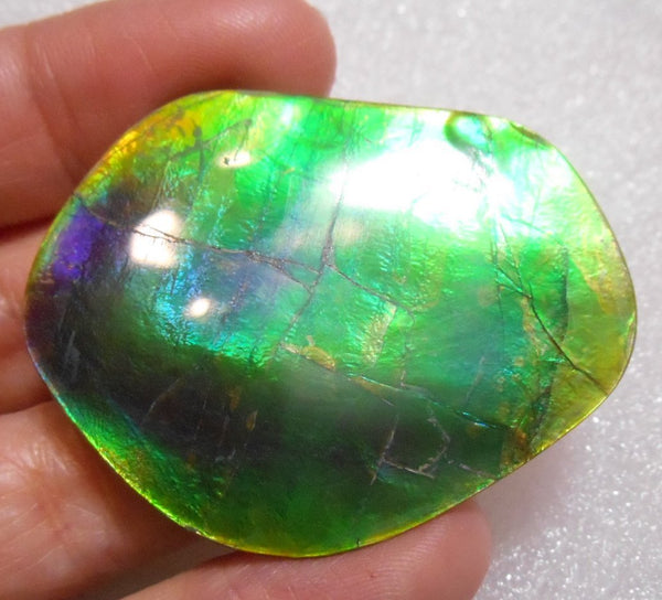 Make An Offer! 交渉あり☆Double-Sided Imperial Rare PINK with Gorgeous Colors COLLECTOR STONE  46 x 36 mm　Natural Ammolite - Feng Shui CS-106 ダブル 両面 ナチュラル　コレクション　ディスプレイピース