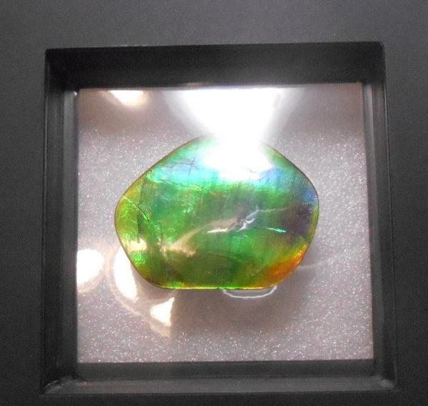 Make An Offer! 交渉あり☆Double-Sided Imperial Rare PINK with Gorgeous Colors COLLECTOR STONE  46 x 36 mm　Natural Ammolite - Feng Shui CS-106 ダブル 両面 ナチュラル　コレクション　ディスプレイピース