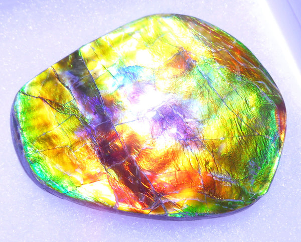 61 x 50  mm  - Natural Collector Stone - CS-66 Bear Claw Rarest Colors Lavender Pink and Gold ナチュラル  コレクターディスプレイピース