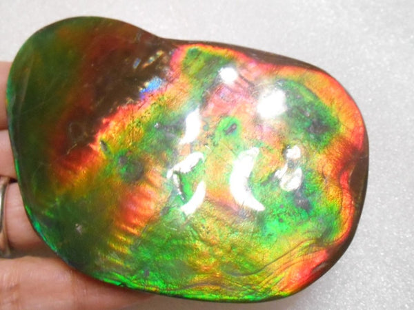 Make An Offer! 交渉あり☆Double-Sided HUGE Imperial Premium Rare Gorgeous Colors COLLECTOR STONE  91.5 x 62 mm　Natural Ammolite - Feng Shui CS-107 ダブル 超大型両面 ナチュラル　コレクション　ディスプレイピース