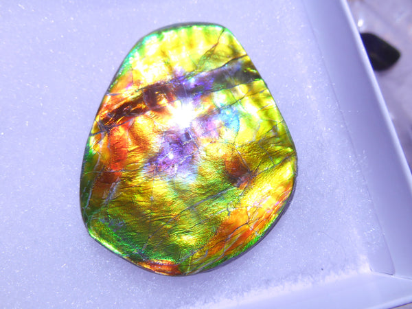 61 x 50  mm  - Natural Collector Stone - CS-66 Bear Claw Rarest Colors Lavender Pink and Gold ナチュラル  コレクターディスプレイピース