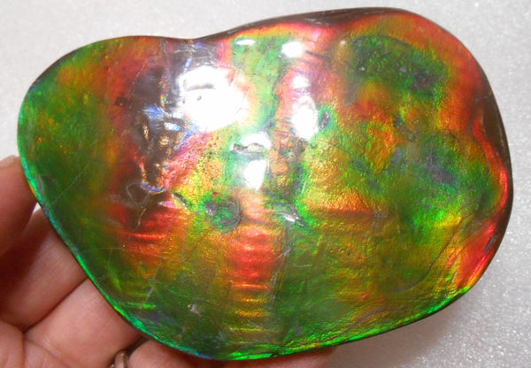 Make An Offer! 交渉あり☆Double-Sided HUGE Imperial Premium Rare Gorgeous Colors COLLECTOR STONE  91.5 x 62 mm　Natural Ammolite - Feng Shui CS-107 ダブル 超大型両面 ナチュラル　コレクション　ディスプレイピース