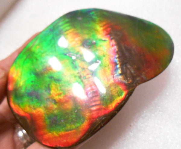 Make An Offer! 交渉あり☆Double-Sided HUGE Imperial Premium Rare Gorgeous Colors COLLECTOR STONE  91.5 x 62 mm　Natural Ammolite - Feng Shui CS-107 ダブル 超大型両面 ナチュラル　コレクション　ディスプレイピース