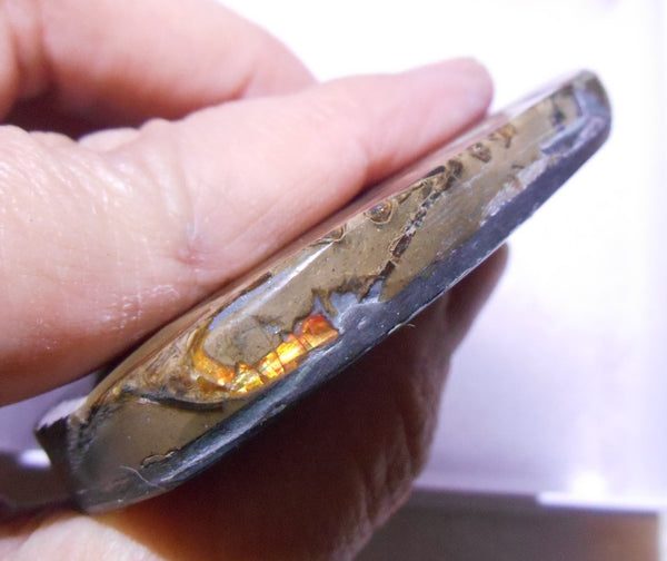 61 x 50  mm  - Natural Collector Stone - CS-66 Bear Claw Rarest Colors Lavender Pink and Gold ナチュラル  コレクターディスプレイピース