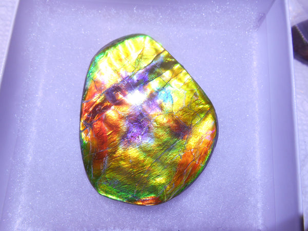 61 x 50  mm  - Natural Collector Stone - CS-66 Bear Claw Rarest Colors Lavender Pink and Gold ナチュラル  コレクターディスプレイピース