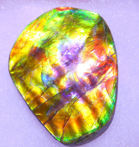 61 x 50  mm  - Natural Collector Stone - CS-66 Bear Claw Rarest Colors Lavender Pink and Gold ナチュラル  コレクターディスプレイピース