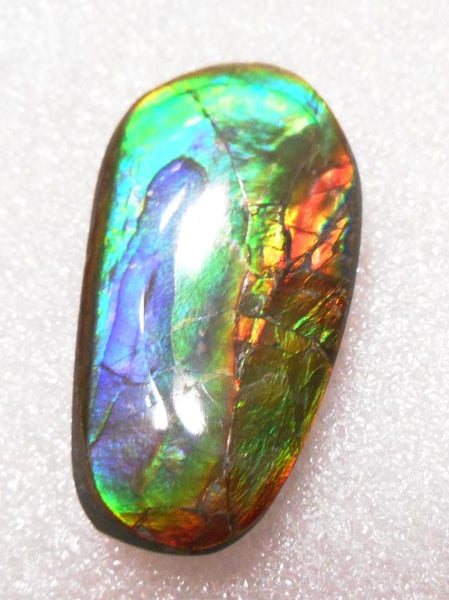 41 x 35 mm  Gorgeous Colors COLLECTOR STONE  CS-106 Ammolite コレクターストーン　アンモライト