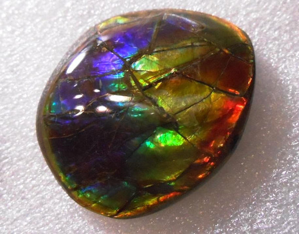 41 x 35 mm  Gorgeous Colors COLLECTOR STONE  CS-106 Ammolite コレクターストーン　アンモライト