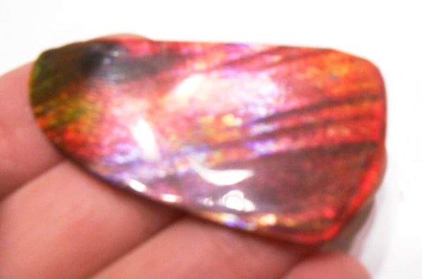 41 x 35 mm  Gorgeous Colors COLLECTOR STONE  CS-106 Ammolite コレクターストーン　アンモライト