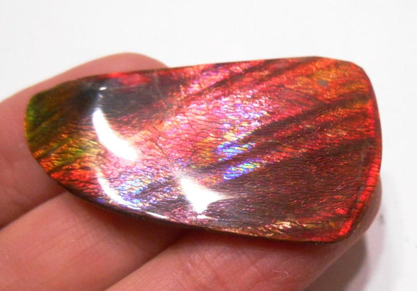 41 x 35 mm  Gorgeous Colors COLLECTOR STONE  CS-106 Ammolite コレクターストーン　アンモライト