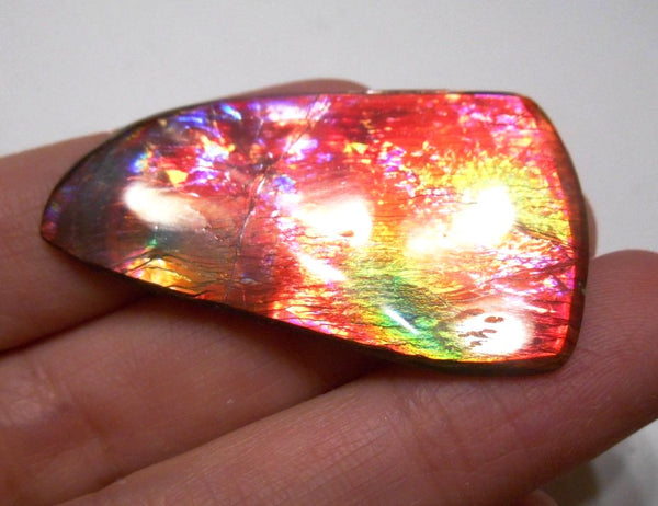 41 x 35 mm  Gorgeous Colors COLLECTOR STONE  CS-106 Ammolite コレクターストーン　アンモライト