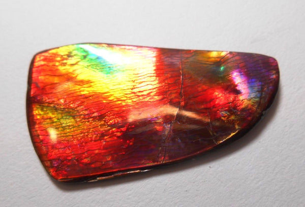 41 x 35 mm  Gorgeous Colors COLLECTOR STONE  CS-106 Ammolite コレクターストーン　アンモライト