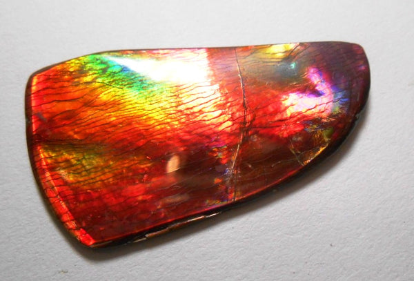41 x 35 mm  Gorgeous Colors COLLECTOR STONE  CS-106 Ammolite コレクターストーン　アンモライト