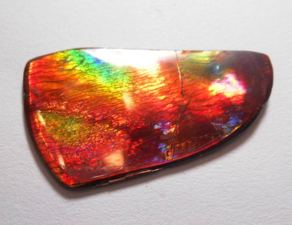 41 x 35 mm  Gorgeous Colors COLLECTOR STONE  CS-106 Ammolite コレクターストーン　アンモライト