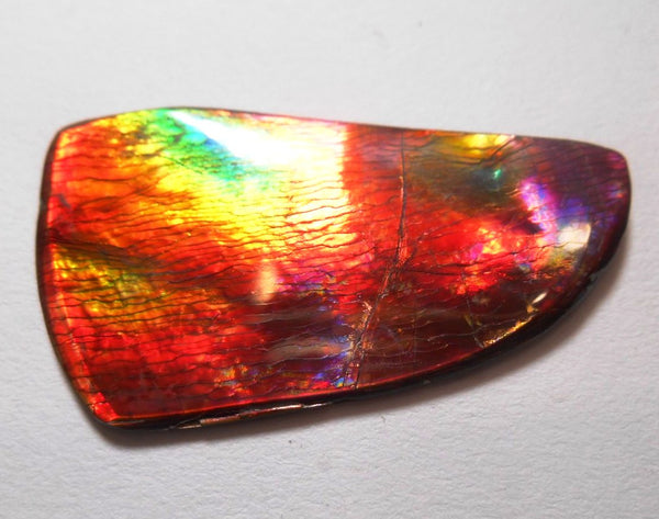 41 x 35 mm  Gorgeous Colors COLLECTOR STONE  CS-106 Ammolite コレクターストーン　アンモライト