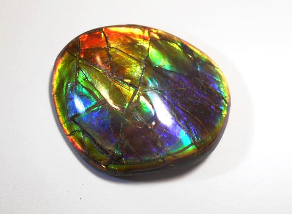 41 x 35 mm  Gorgeous Colors COLLECTOR STONE  CS-106 Ammolite コレクターストーン　アンモライト