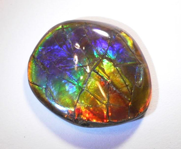 41 x 35 mm  Gorgeous Colors COLLECTOR STONE  CS-106 Ammolite コレクターストーン　アンモライト