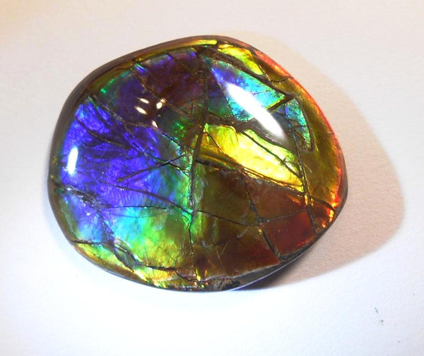 41 x 35 mm  Gorgeous Colors COLLECTOR STONE  CS-106 Ammolite コレクターストーン　アンモライト