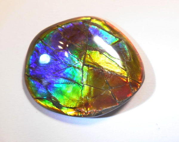 41 x 35 mm  Gorgeous Colors COLLECTOR STONE  CS-106 Ammolite コレクターストーン　アンモライト