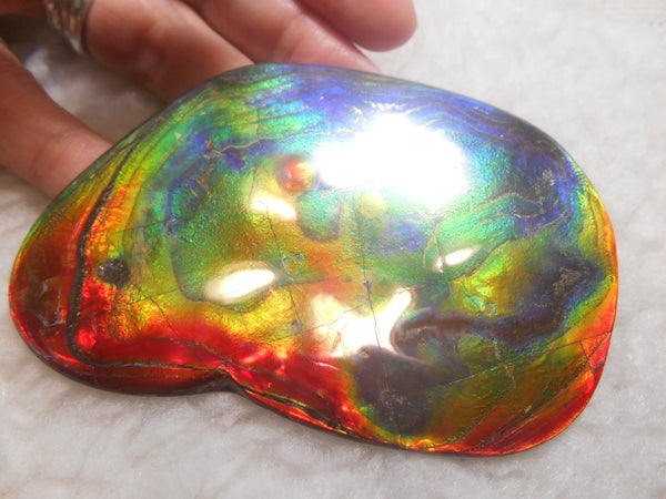 Make An Offer! 交渉あり☆Double-Sided HUGE Imperial Premium Rare Gorgeous Colors COLLECTOR STONE  91.5 x 62 mm　Natural Ammolite - Feng Shui CS-107 ダブル 超大型両面 ナチュラル　コレクション　ディスプレイピース