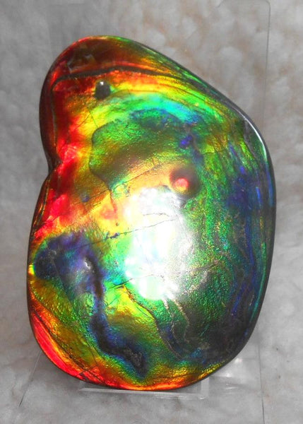 Make An Offer! 交渉あり☆Double-Sided HUGE Imperial Premium Rare Gorgeous Colors COLLECTOR STONE  91.5 x 62 mm　Natural Ammolite - Feng Shui CS-107 ダブル 超大型両面 ナチュラル　コレクション　ディスプレイピース