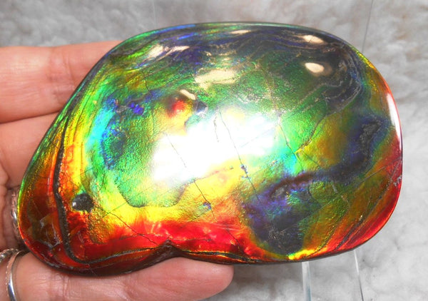 Make An Offer! 交渉あり☆Double-Sided HUGE Imperial Premium Rare Gorgeous Colors COLLECTOR STONE  91.5 x 62 mm　Natural Ammolite - Feng Shui CS-107 ダブル 超大型両面 ナチュラル　コレクション　ディスプレイピース