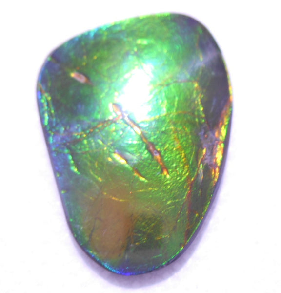 SALE! 30% OFF !  33 x 24　mm - Natural Free Form FFN 178  Ammolite Color Changer ナチュラル　ルース　アンモライト フリーフォーム