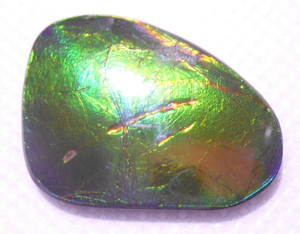 SALE! 30% OFF !  33 x 24　mm - Natural Free Form FFN 178  Ammolite Color Changer ナチュラル　ルース　アンモライト フリーフォーム