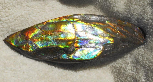 Make An Offer! 交渉あり☆AAA Double-Sided HUGE  Premium Rare Gorgeous Colors COLLECTOR Section Piece  256 x 82 mm　Natural Ammolite - Feng Shui CS-108 ダブル 超大型両面 ナチュラル　コレクション　ディスプレイピース