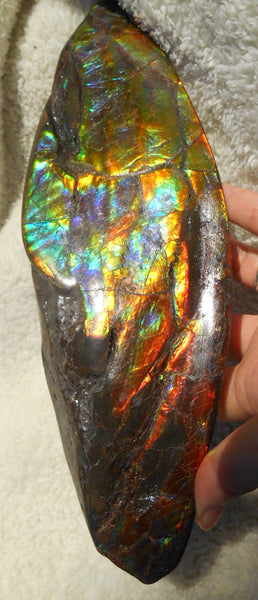 Make An Offer! 交渉あり☆AAA Double-Sided HUGE  Premium Rare Gorgeous Colors COLLECTOR Section Piece  256 x 82 mm　Natural Ammolite - Feng Shui CS-108 ダブル 超大型両面 ナチュラル　コレクション　ディスプレイピース