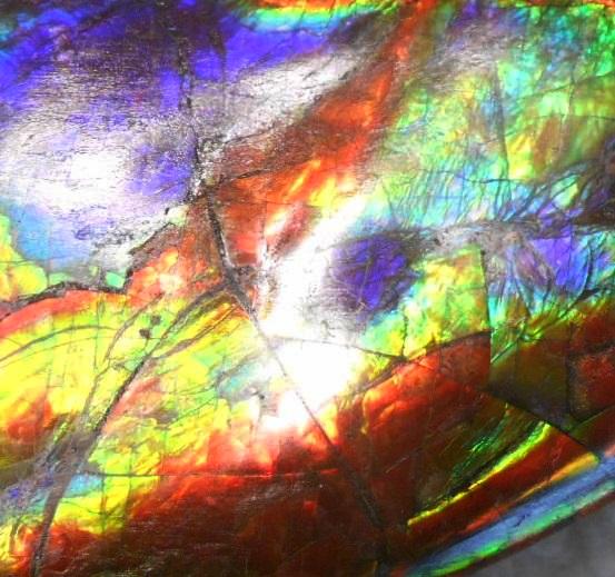 Make An Offer! 交渉あり☆AAA Double-Sided HUGE  Premium Rare Gorgeous Colors COLLECTOR Section Piece  256 x 82 mm　Natural Ammolite - Feng Shui CS-108 ダブル 超大型両面 ナチュラル　コレクション　ディスプレイピース