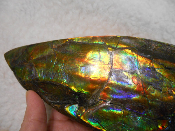 Make An Offer! 交渉あり☆AAA Double-Sided HUGE  Premium Rare Gorgeous Colors COLLECTOR Section Piece  256 x 82 mm　Natural Ammolite - Feng Shui CS-108 ダブル 超大型両面 ナチュラル　コレクション　ディスプレイピース